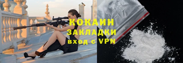 стаф Кодинск