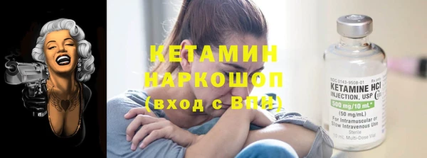 стаф Кодинск