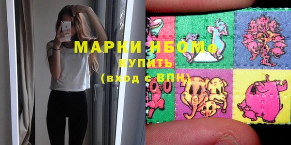 стаф Кодинск