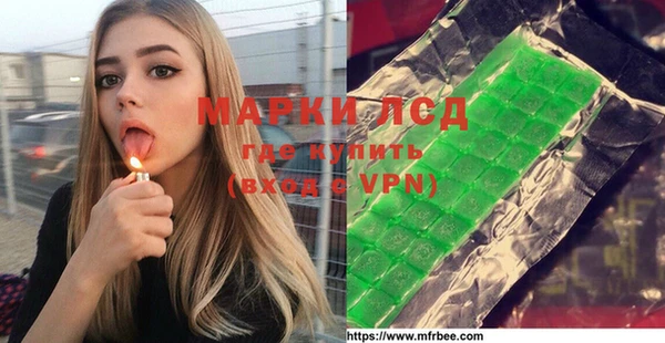 стаф Кодинск