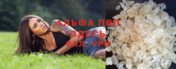 стаф Кодинск