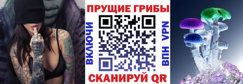 Галлюциногенные грибы MAGIC MUSHROOMS  Купить где  Купино 